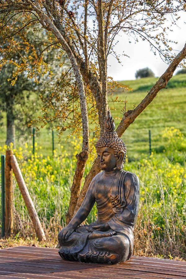Glamping Turquesa, Feel And Relax In A Wood House Pension Corredoura Buitenkant foto