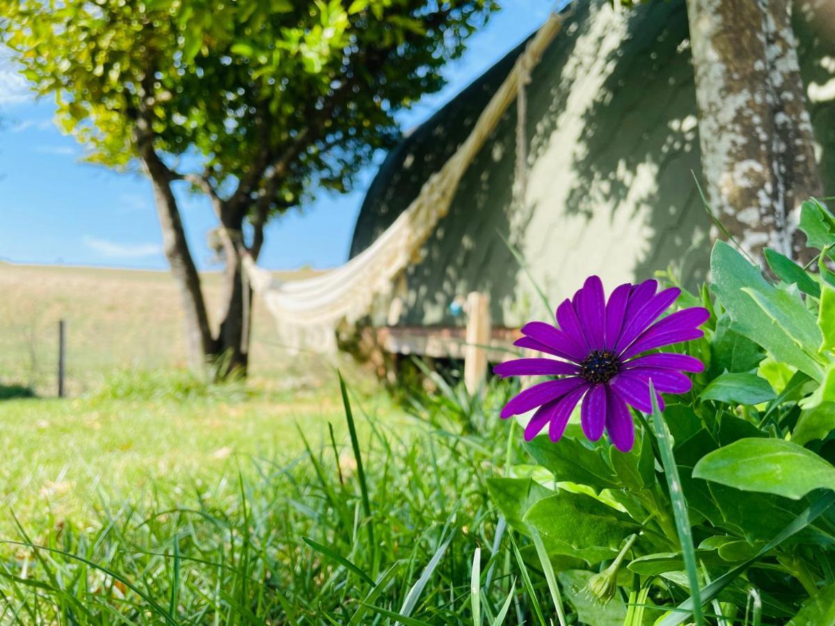 Glamping Turquesa, Feel And Relax In A Wood House Pension Corredoura Buitenkant foto